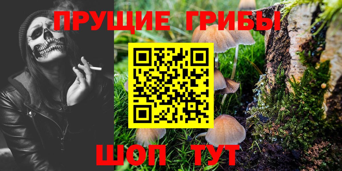 Псилоцибиновые грибы ЛСД Киселёвск