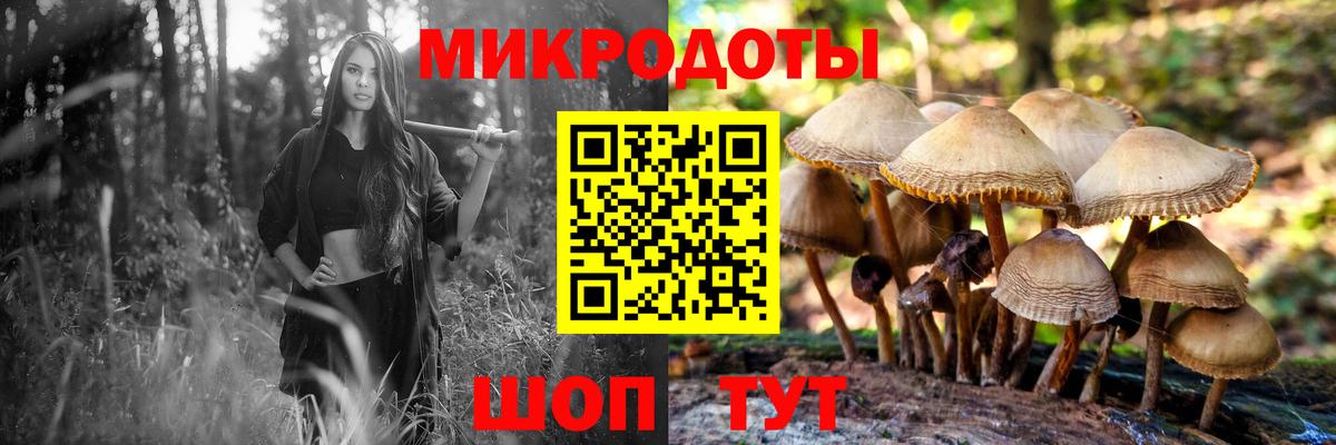 Псилоцибиновые грибы ЛСД  купить закладку  Киселёвск  Вход с VPN 